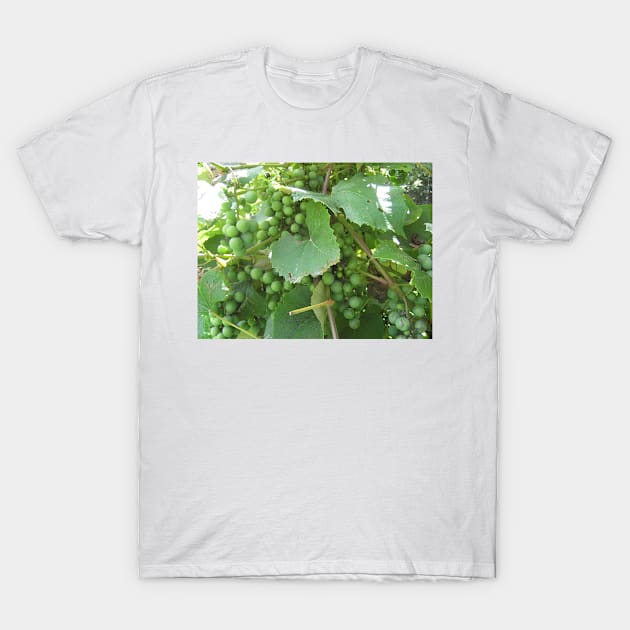 Green Grapes T-Shirt by Reilly's Fine Art and Designs